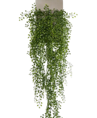 Künstlicher Hänge-Jasmin - Levin auf transparentem Hintergrund mit echt wirkenden Kunstblättern. Diese Kunstpflanze gehört zur Gattung/Familie der 