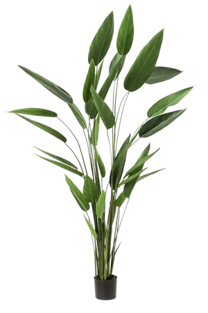 Künstliche Helikonie - Frida auf transparentem Hintergrund mit echt wirkenden Kunstblättern. Diese Kunstpflanze gehört zur Gattung/Familie der "Helikonien" bzw. "Kunst-Helikonien".