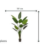 Strelitzia artificiel - Josephine | 190 cm