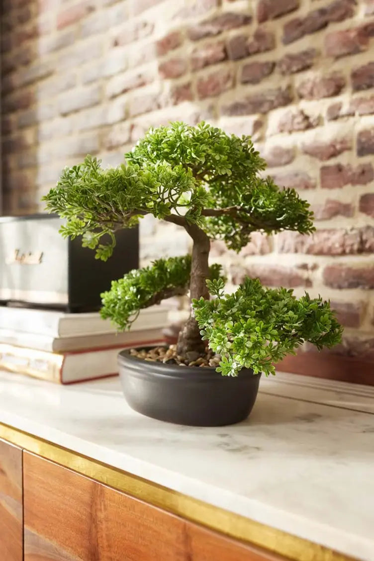 Ficus Bonsai artificiel - Yui | 32 cm | acheter aplanta