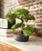 Bonsaï artificiel Ficus - Yui | 32 cm