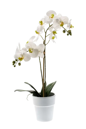 Orchidées artificielles Plantes avec vases Phalaenopsis artificiel Orchidées  pour la décoration Bureau à domicile