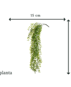 Plante grimpante artificielle - Keno | 80 cm