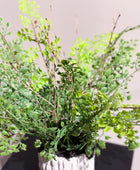 Künstlicher Pfauenrad-Farn - Euphelia | 30 cm | Kunstpflanze von aplanta
