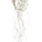 Künstlicher Hänge-Farn - Jolie, 35 cm, Kunstpflanze von aplanta, in Natur, für drinnen