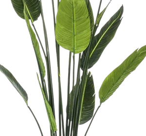Strelitzia artificiel - Christian | 150 cm
