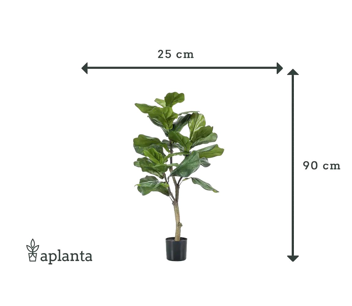 Ficus Lyrata artificiel - Mona | 90 cm