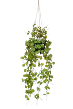 Künstliche Hänge-Leuchterblume - Konrad, 50 cm, Kunstpflanze von aplanta, inkl. Dekotopf, im schwarzen Topf, in Natur