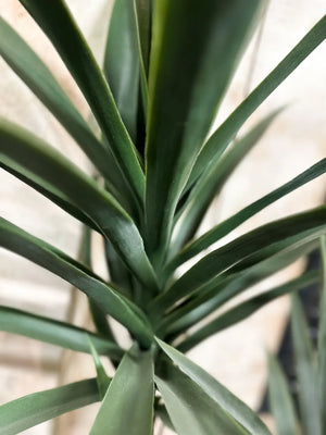Künstliche Yucca Palme - Ramona | 160 cm | Kunstpflanze von aplanta