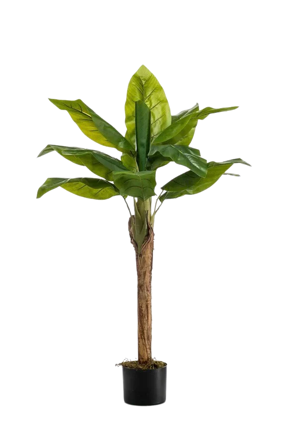 Hochwertige Kunstpflanze | Künstlicher Bananenbaum - Giro | 110 cm von 🌱aplanta