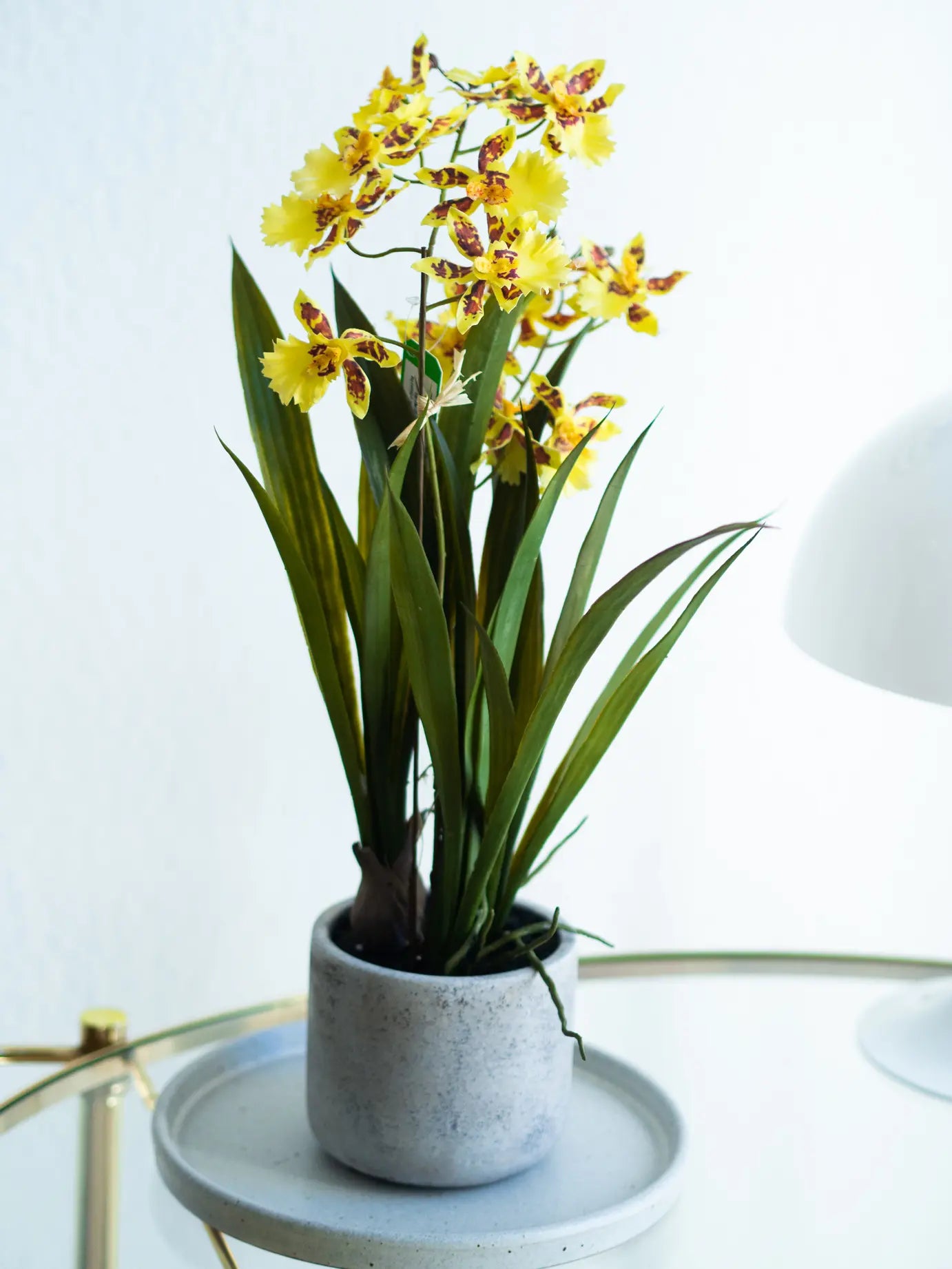 Orchidée artificielle - Lilli | 45 cm