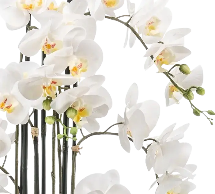 Künstliche Orchidee - Louisa | 100 cm auf transparentem Hintergrund, als Ausschnitt fotografiert, damit die Details der Kunstpflanze bzw. des Kunstbaums noch deutlicher zu erkennen sind.