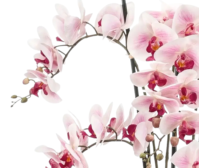 Künstliche Orchidee - Leo | 100 cm auf transparentem Hintergrund, als Ausschnitt fotografiert, damit die Details der Kunstpflanze bzw. des Kunstbaums noch deutlicher zu erkennen sind.