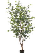 Hochwertiger Eukalyptus künstlich auf transparentem Hintergrund mit echt wirkenden Kunstblättern in natürlicher Anordnung. Künstlicher Eucalyptus Baum - Christopher hat die Farbe Natur und ist 140 cm hoch. | aplanta Kunstpflanzen