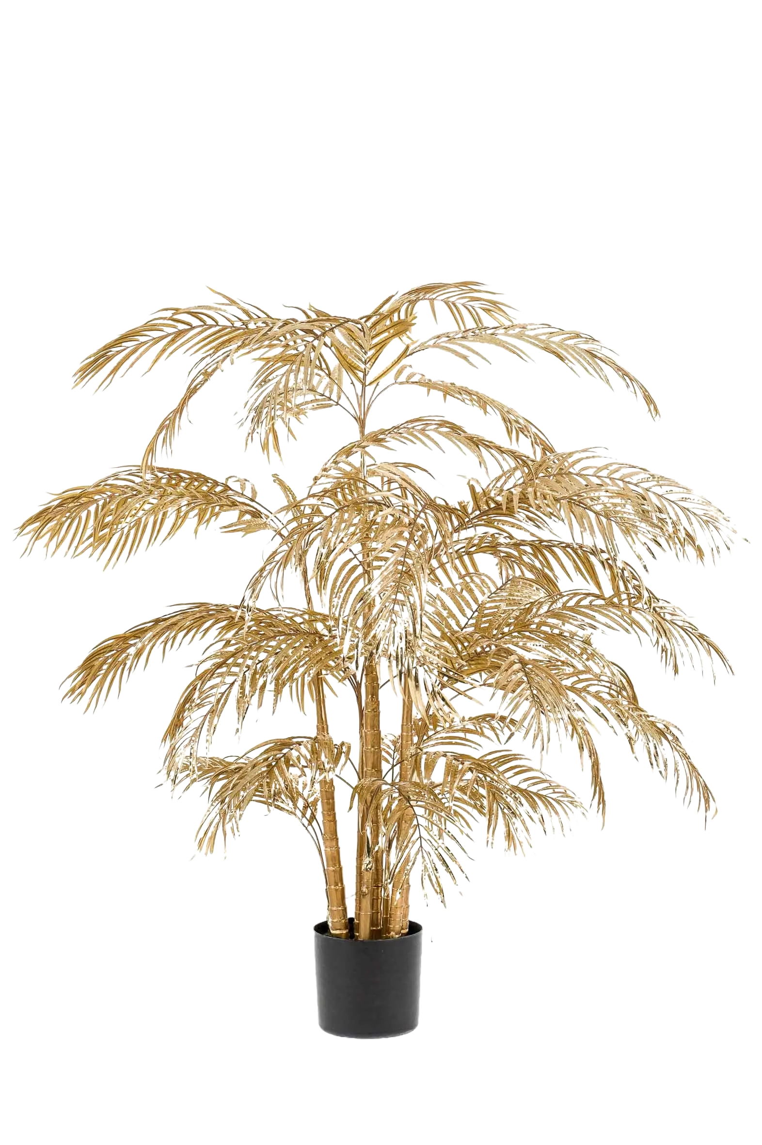 Hochwertige Kunstpalme auf transparentem Hintergrund mit echt wirkenden Kunstblättern in natürlicher Anordnung. Künstliche Areca Palme - Mitzi hat die Farbe Natur und ist 200 cm hoch. | aplanta Kunstpflanzen