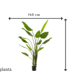 Strelitzia artificiel - Colin | 180 cm