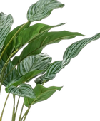Künstlicher Kolbenfaden - Jakob | 45 cm auf transparentem Hintergrund, als Ausschnitt fotografiert, damit die Details der Kunstpflanze bzw. des Kunstbaums noch deutlicher zu erkennen sind.