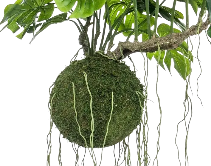 Künstlicher Hänge Monstera Moos Ball - Julian | 80 cm auf transparentem Hintergrund, als Ausschnitt fotografiert, damit die Details der Kunstpflanze bzw. des Kunstbaums noch deutlicher zu erkennen sind.