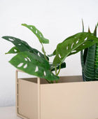 Arbuste artificiel Monstera - Lotte | 30 cm