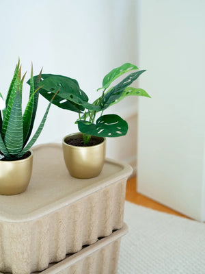 Arbuste artificiel Monstera - Lotte | 30 cm