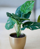 Arbuste artificiel Monstera - Lotte | 30 cm