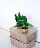 Arbuste artificiel Monstera - Lotte | 30 cm