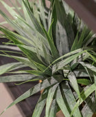 Herbe artificielle - Gianna | 33 cm