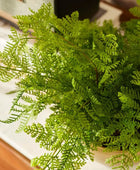 Fougère artificielle - Gustav | 40 cm