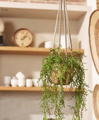 Rhipsalis artificiel - Karla | 90 cm