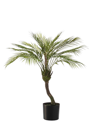 Künstliche Bergpalme - Nelly auf transparentem Hintergrund mit echt wirkenden Kunstblättern. Diese Kunstpflanze gehört zur Gattung/Familie der "Palmen" bzw. "Kunst-Palmen".