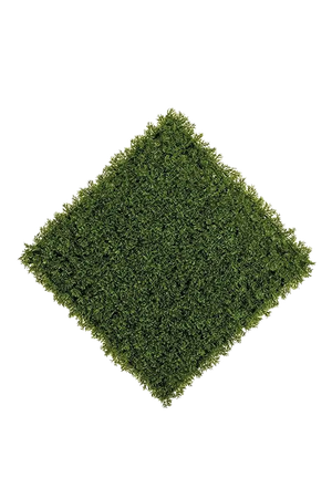 Künstliche Zypressen Matte - Rubeus auf transparentem Hintergrund mit echt wirkenden Kunstblättern in natürlicher Anordnung. Künstliche Zypressen Matte - Rubeus hat die Farbe Grün | aplanta Kunstpflanzen