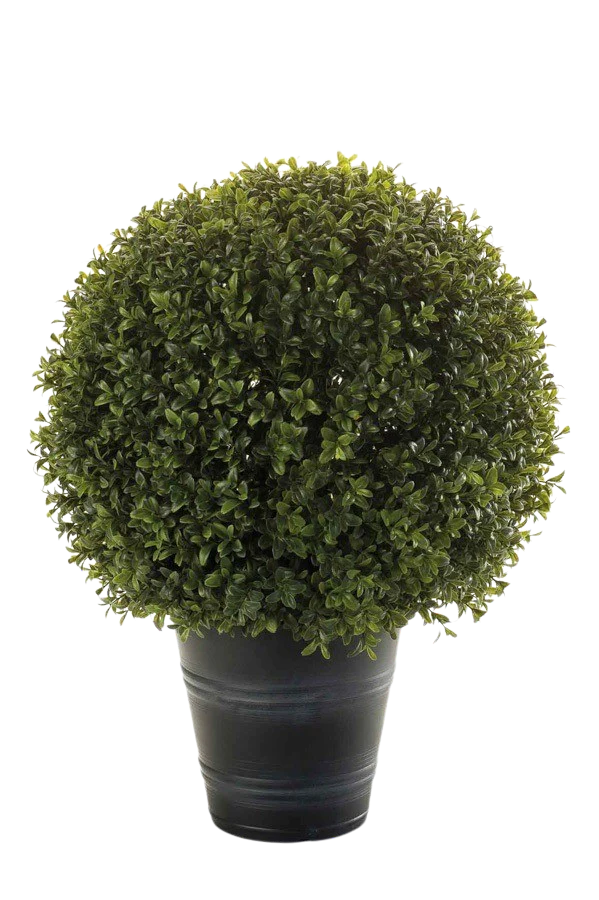 Hochwertige Kunstpflanze | Künstlicher Buchsbaum - Ron | 25 cm von 🌱aplanta