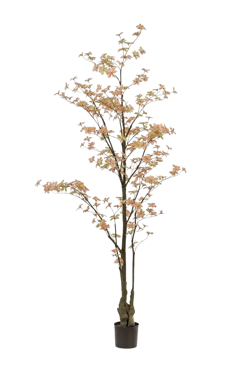 Hochwertige Kunstpflanze | Künstlicher Trapaeolum Baum - Rocco | 210 cm von 🌱aplanta