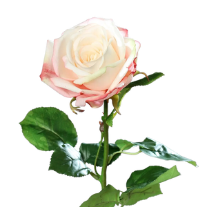 Rose artificielle - Xenia | 66 cm