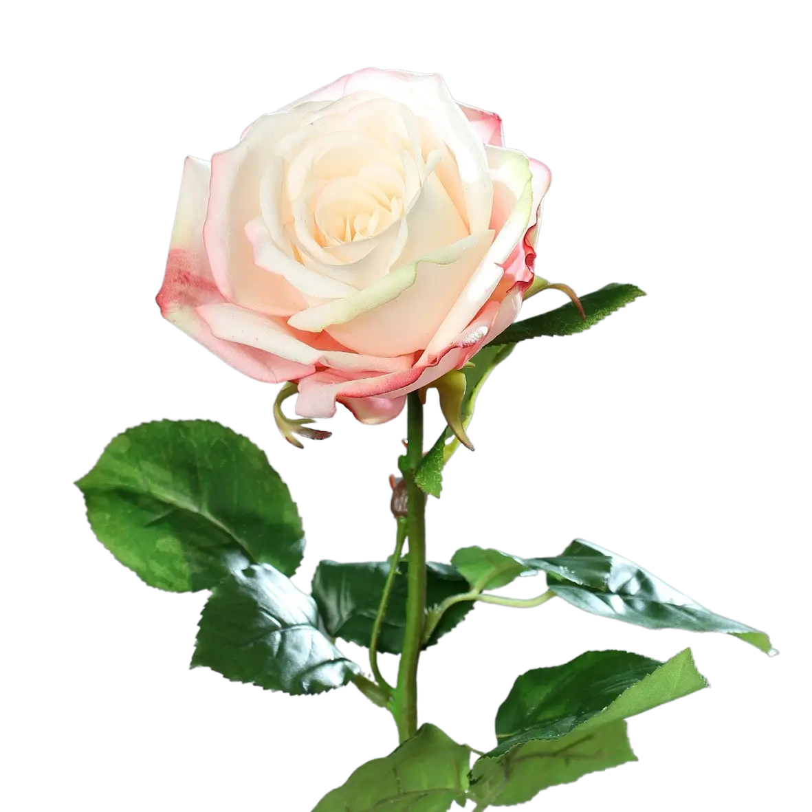 Rose artificielle - Xenia | 66 cm
