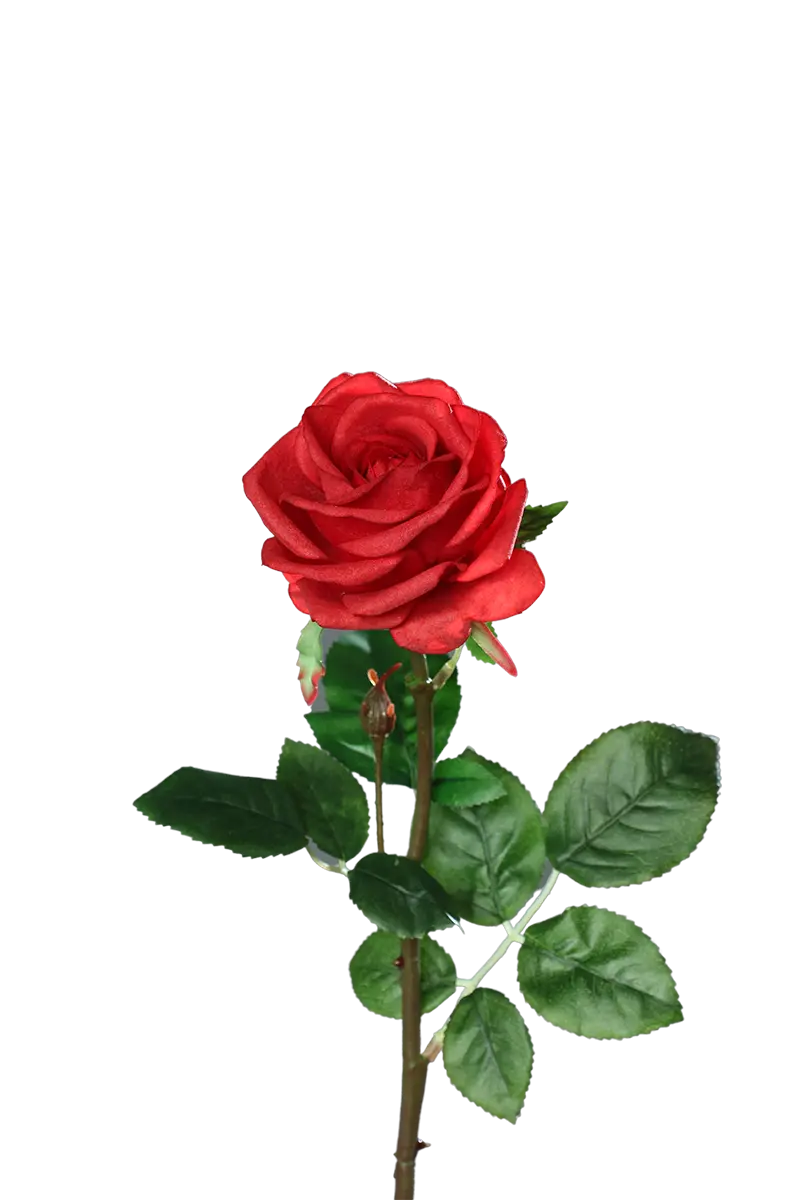 Rose artificielle - Philipos | 66 cm