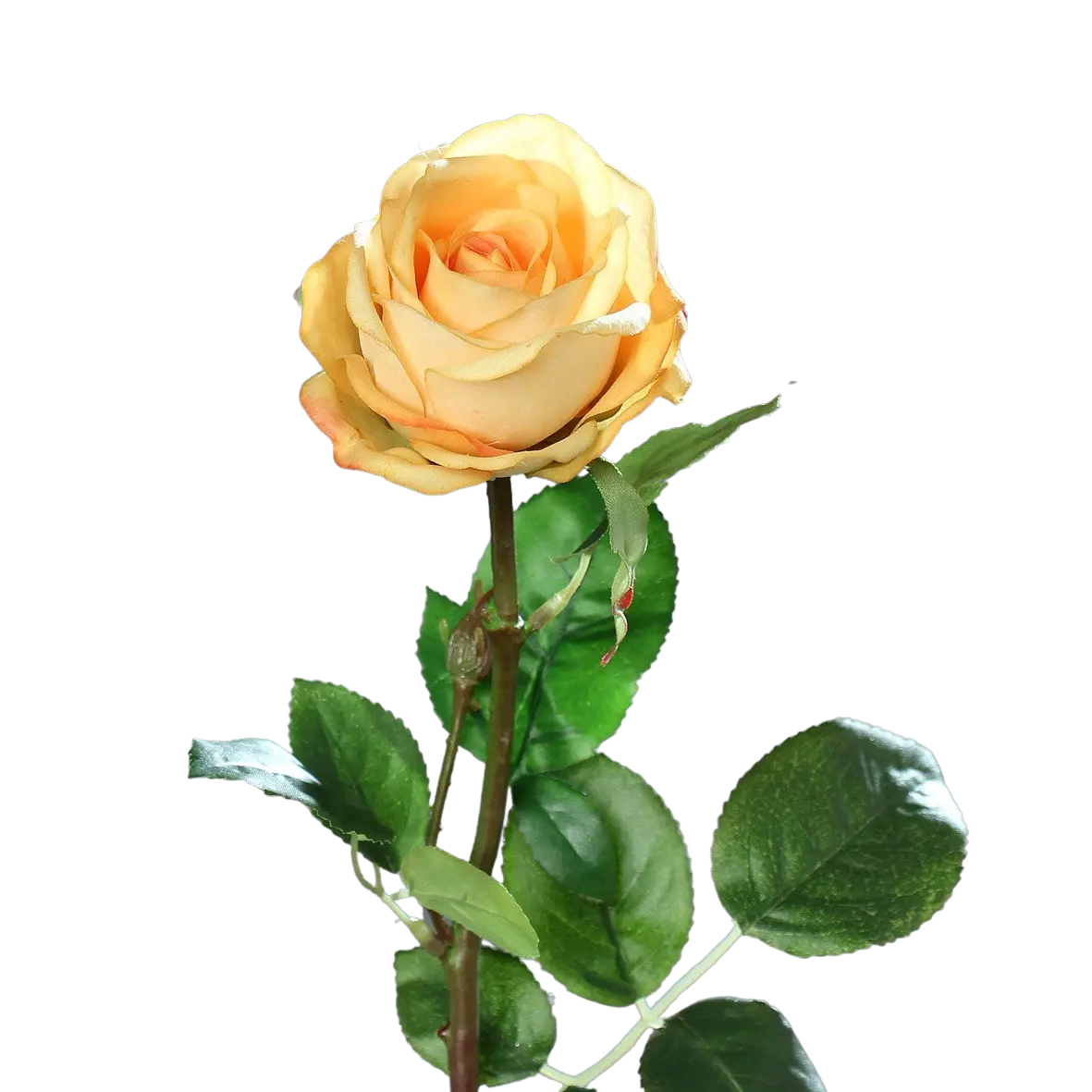Rose artificielle - Platon | 66 cm