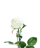 Rose artificielle - Alexandros | 66 cm