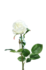 Künstliche Rose - Alexandros, 66 cm, Kunstblume von aplanta, Real Touch, in Creme, für drinnen