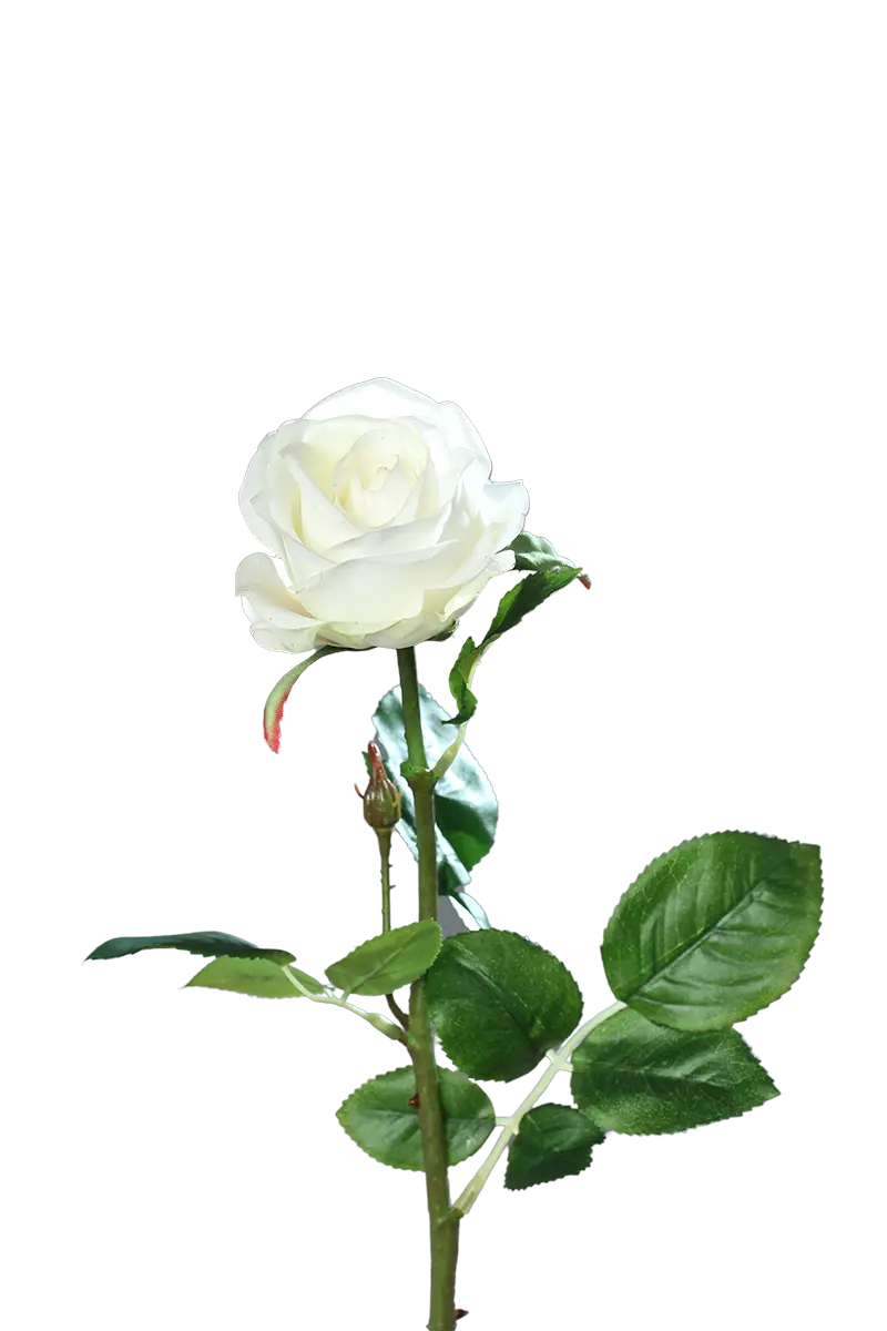 Rose artificielle - Alexandros | 66 cm