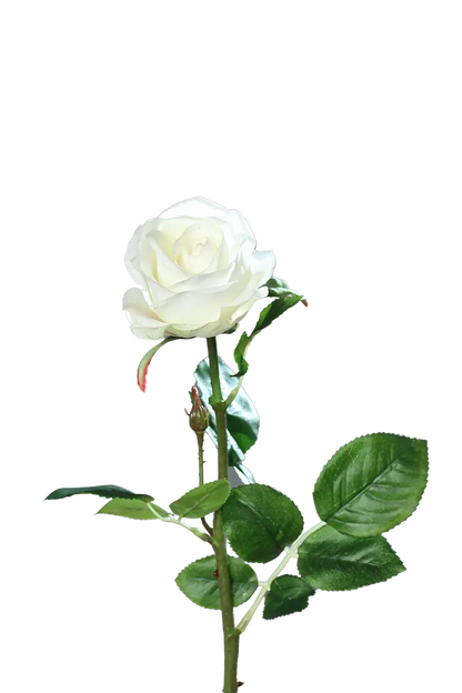 Künstliche Rose - Alexandros, 66 cm, Kunstblume von aplanta, Real Touch, in Creme, für drinnen