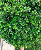 Künstlicher Buchsbaum - Rico | 95 cm | Kunstbaum von aplanta