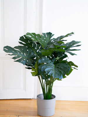 Monstera artificiel - Thilo | 80 cm