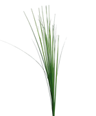 Herbe d'Isolepsis artificielle - Arianna