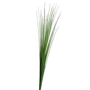 Herbe d'Isolepsis artificielle - Arianna