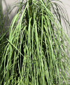 Arrangement d'herbe artificielle - Magnus | 115 cm