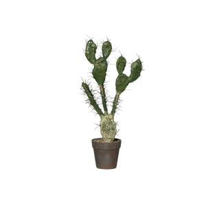 Cactus artificiel avec aiguilles - John | 58 cm