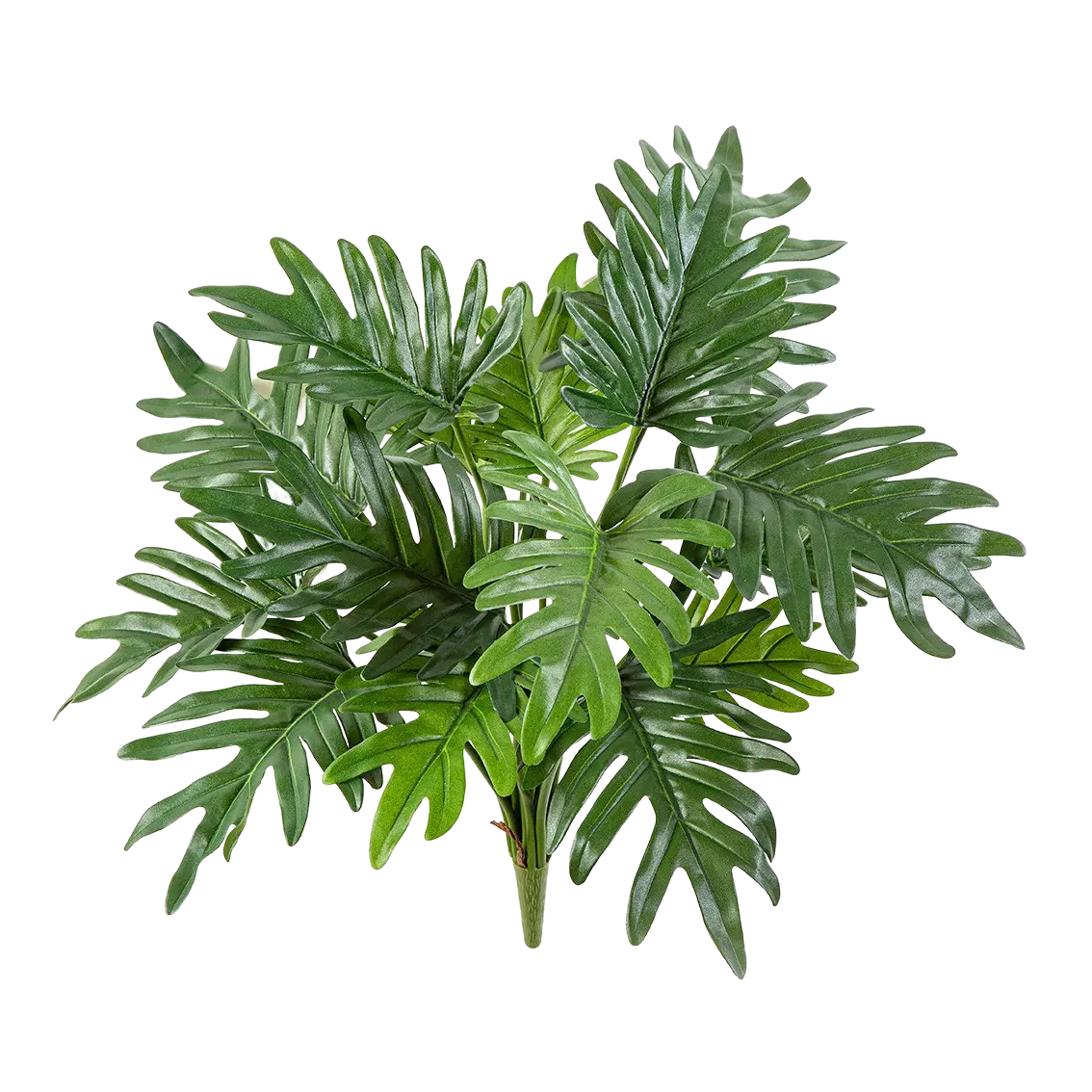 Philodendre artificiel - Selin | 50 cm