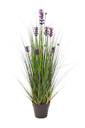 Künstlicher Lavendel - Emilie auf transparentem Hintergrund mit echt wirkenden Kunstblättern in natürlicher Anordnung. Künstlicher Lavendel - Emilie hat die Farbe Natur und ist 90 cm hoch. | aplanta Kunstpflanzen