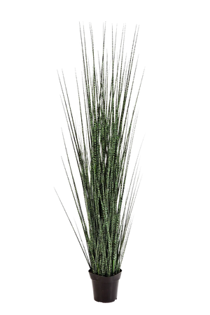 Herbe artificielle - Zèbre | 120 cm